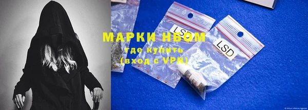 ешки Аркадак