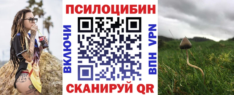 Галлюциногенные грибы Cubensis  цена   Жигулёвск 